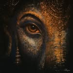 tech_freek26 profile picture
