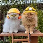 teddieandcasper profile picture