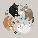 teddybearandthepeople profile picture