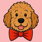 teddy_dicenzo profile picture