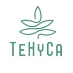 tehycaofficial profile picture
