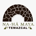 temazcalnahamaya profile picture