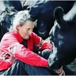 temple_grandin profile picture