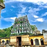 templesdownvindhyas profile picture