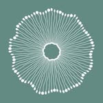 tencui.mx profile picture