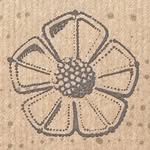 tenhandsoliveoil profile picture