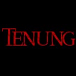 tenungfilm profile picture
