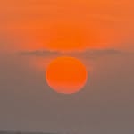 teograph profile picture
