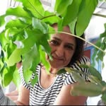 teresinha_atelie profile picture