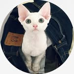 teriyaki118 profile picture
