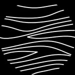 terraefilmfestival profile picture