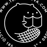 terrranova profile picture
