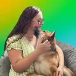 tetsuhishibainuyshihtzu profile picture