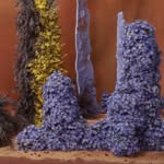 textureflorals profile picture