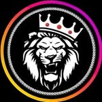 th3k1n61234 profile picture