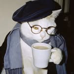 th__void profile picture