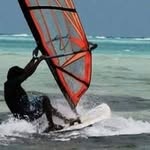 thaarey_usr profile picture