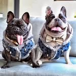 tha_dogg_pound profile picture