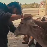 thakur_mohit_singh_bais profile picture