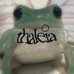 thaleiabytala profile picture