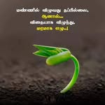 thamil_thecute profile picture