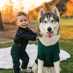 thathuskytheo profile picture