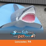 thatpetplace profile picture