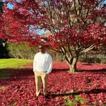 thatsdavidcuttino profile picture