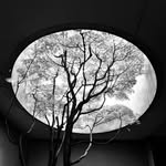 the.analogueatelier profile picture