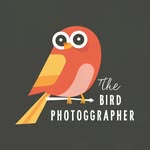 the.bird.photographer profile picture