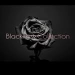 the.blackrose.collection profile picture
