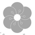 the.compass.camellia profile picture