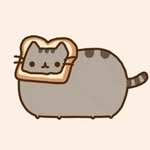 the.dailykitten profile picture