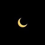 the.dark.lines profile picture