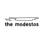 the.modestos profile picture