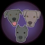 the.ohosiers profile picture