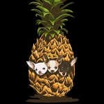 the.pineapple.boys profile picture