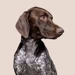 the.real.rusty profile picture