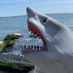 the.shark.puppet profile picture