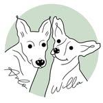 the_adventures_of_arlo_n_willa profile picture