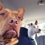 theadventuresofohlinandluna profile picture