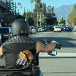 thealexanderfox profile picture