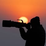 the_alpha_wolf._ profile picture