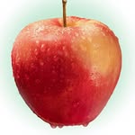 theapplerankings profile picture