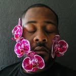 theartethereal profile picture