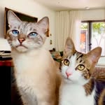 theaugustandoliver profile picture
