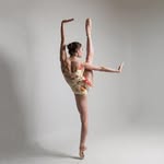 theballerina profile picture