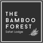 the_bambooforest_tadoba profile picture