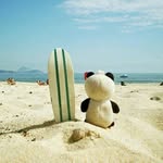 thebeachpanda profile picture