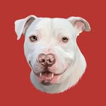 thebennyblancoshow profile picture